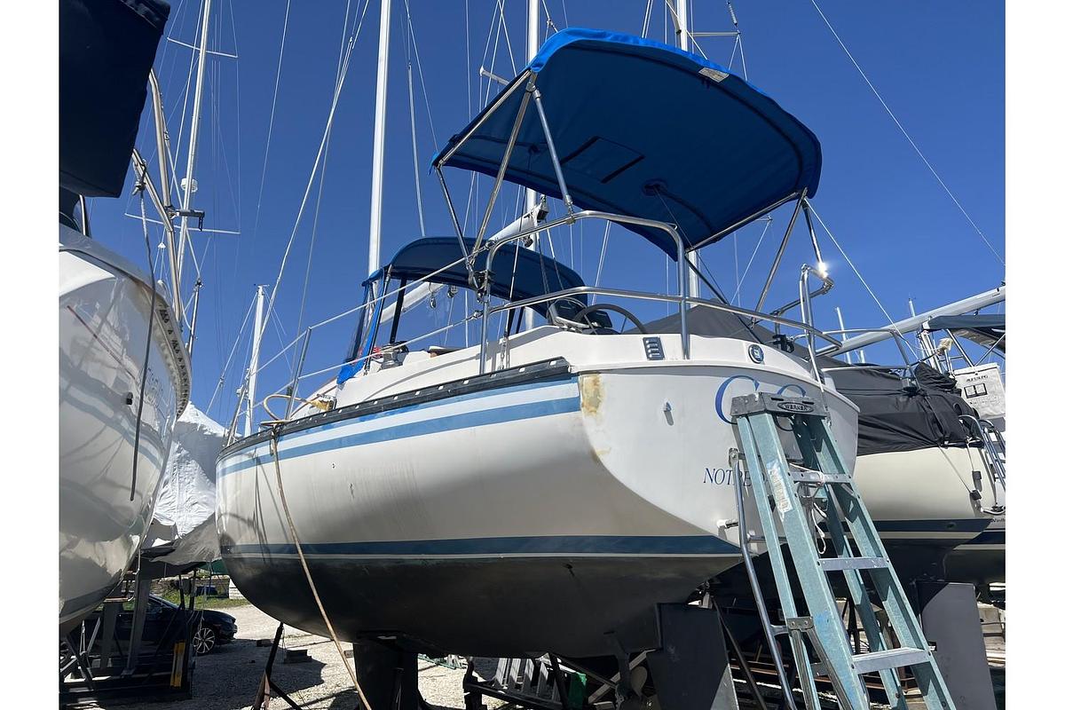 Used 1983 Marlow-Hunter 27 Cherubini