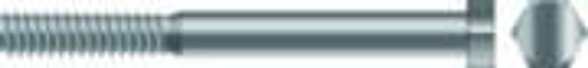 1/4-20x3 1/2 Hxcap Scr Ss 25/Bg