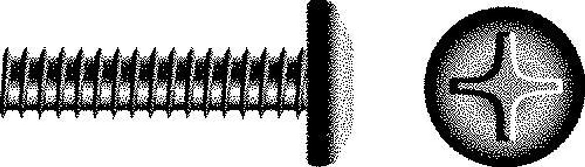 M6-1x25 Phl Pan M/s Ss 50/Bg