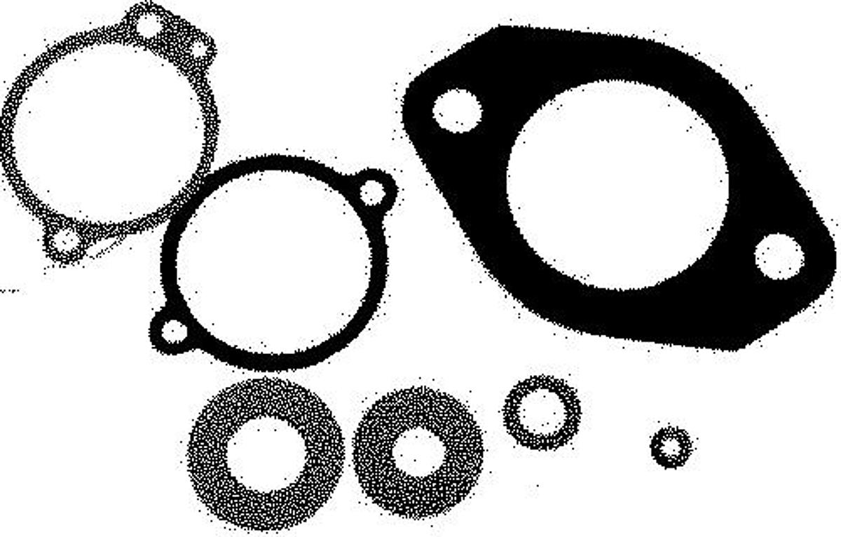 Carburetor Gasket Kit