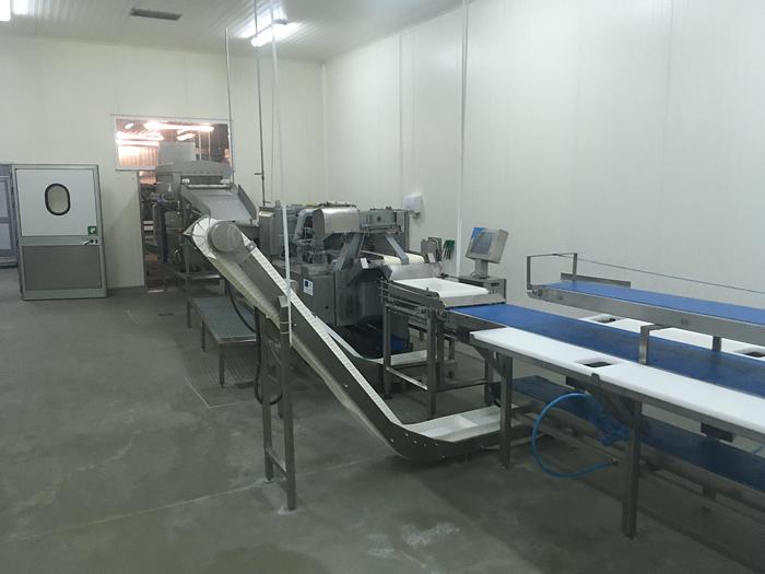 Used BAADER, CARNITECH, MULTIVAC, Fomaco, Salmon processing line
