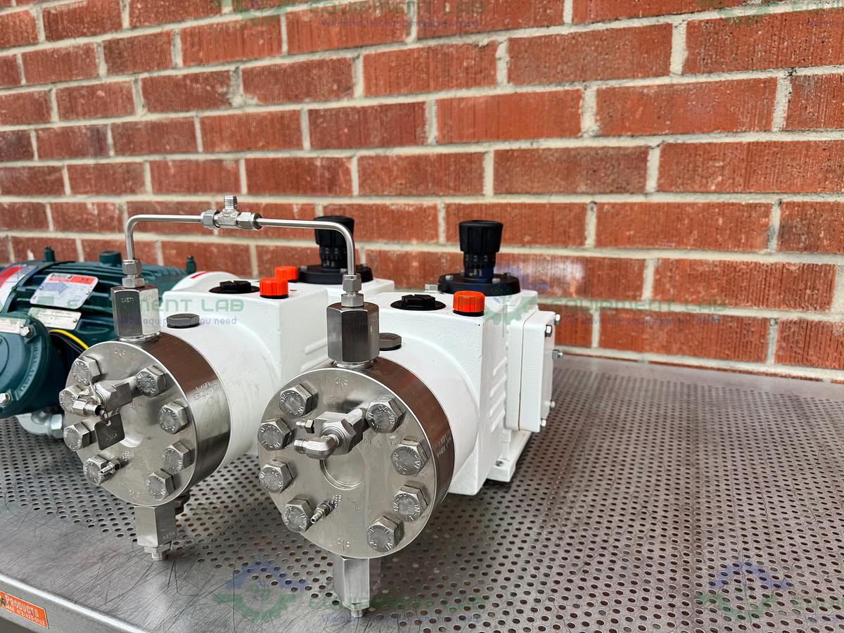 Used Lewa LDC 2 Waterlike Diaphragm Metering Pump w/ Reliance Electric 2.4 HP Motor