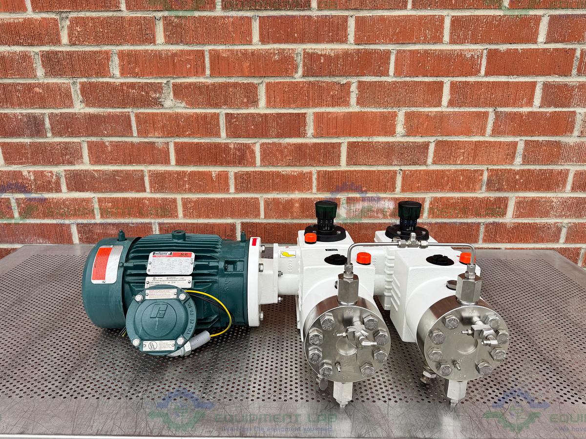 Used Lewa LDC 2 Waterlike Diaphragm Metering Pump w/ Reliance Electric 2.4 HP Motor