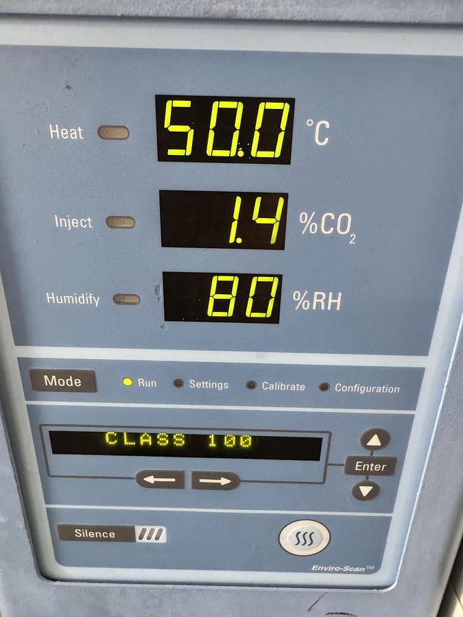 Used Thermo Forma 3310 Steri-Cult Double Stack CO2 Incubator, 11 cu. ft, 50C