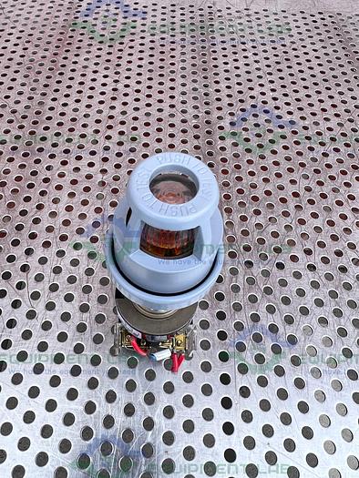 Used Allen-Bradley  800H-QPT24 Series C Illuminated Push Button Switch 24V