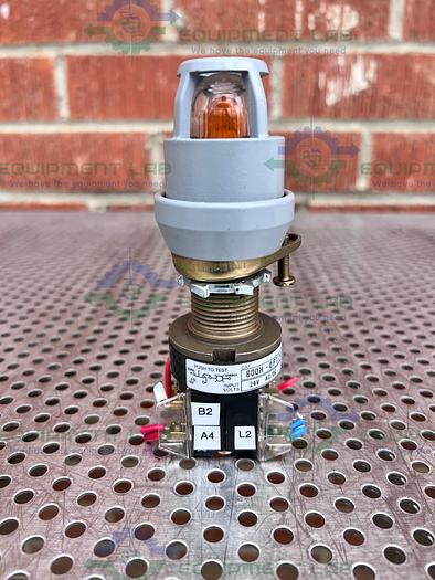 Used Allen-Bradley  800H-QPT24 Series C Illuminated Push Button Switch 24V