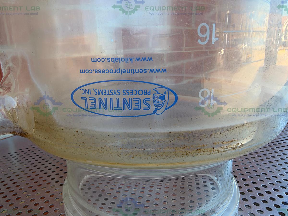Used Sentinel Process Systems 20 Liter Jacketed Reactor Glass