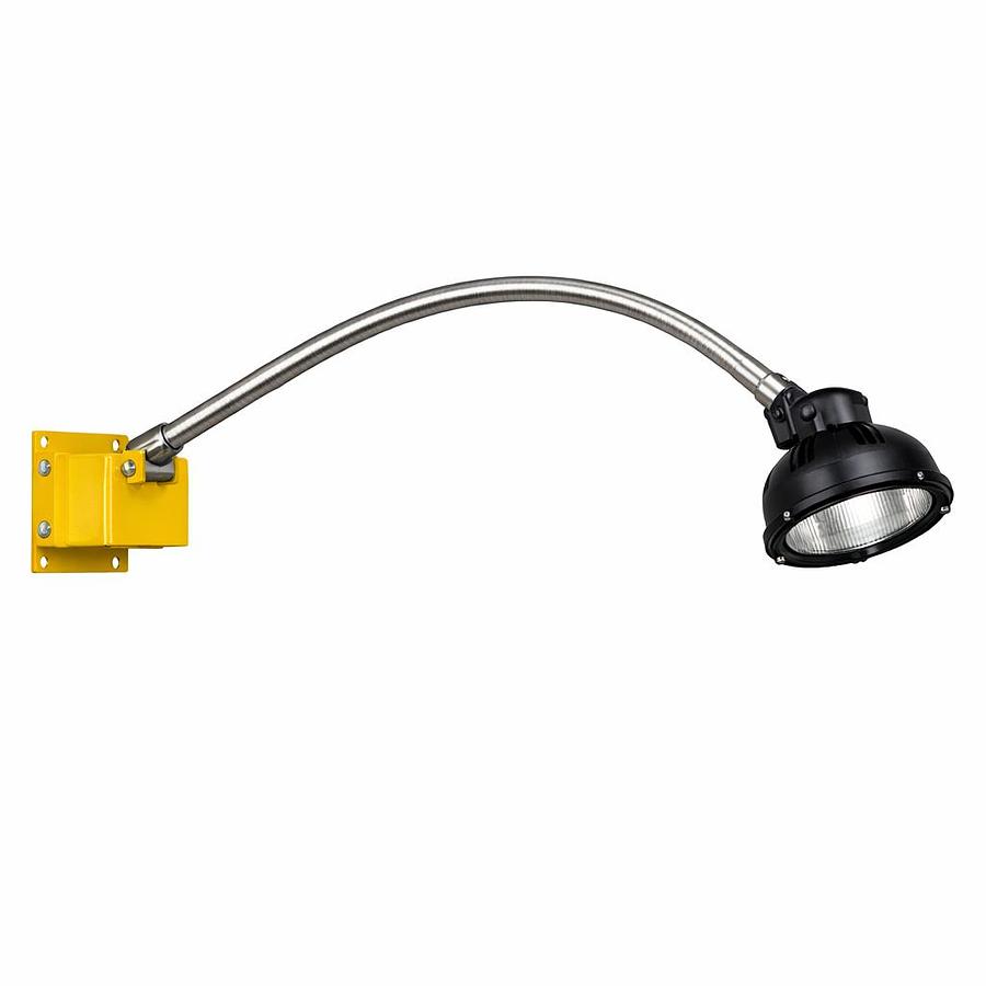 DLGN‑120 dock light with 60‑inch stainless gooseneck arm, yellow mount box, and black polycarbonate lamp head on a white background.