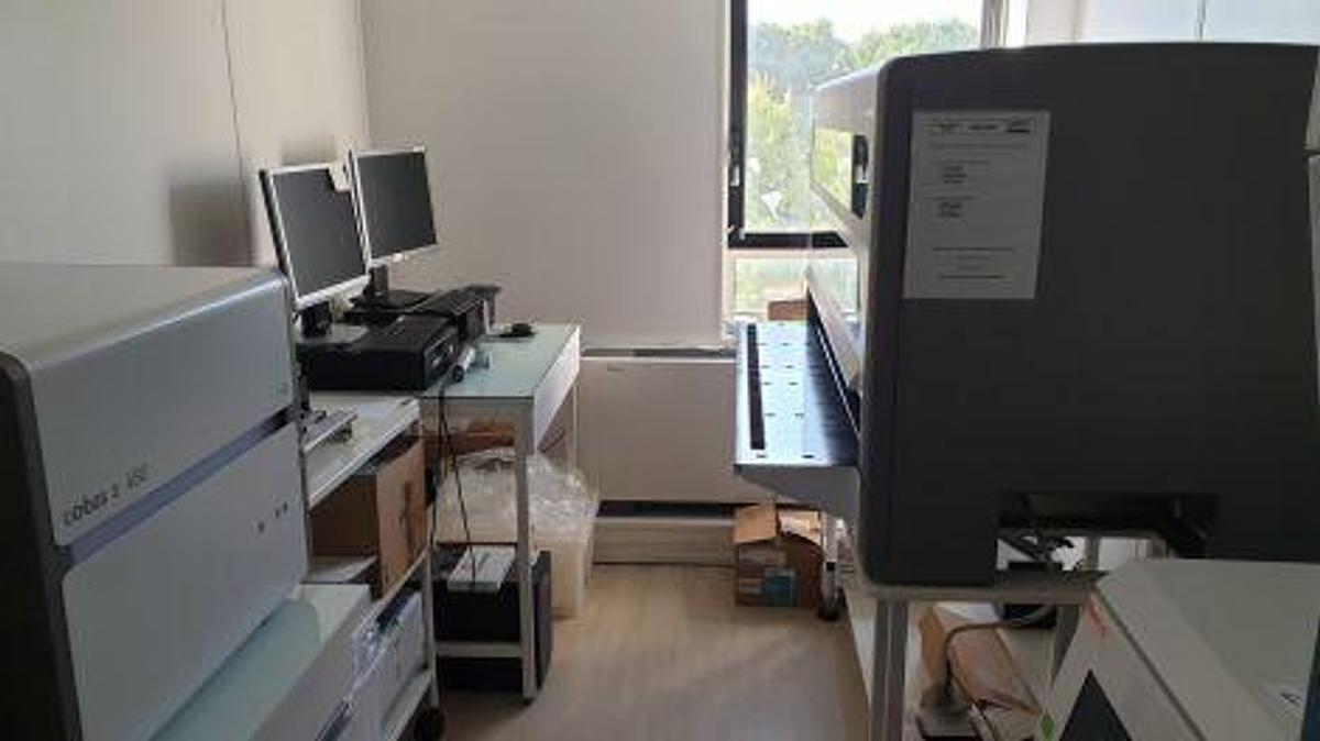 Usado ROCHE Cobas 4800 con x480 + z480 Prueba molecular CT/NG/HPV PCR