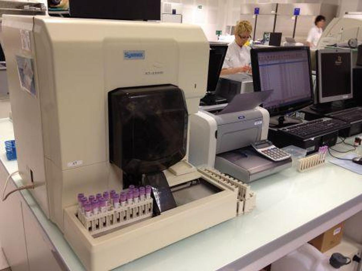 Usado A la venta SYSMEX XT- 2000 i Hematology Analyzer