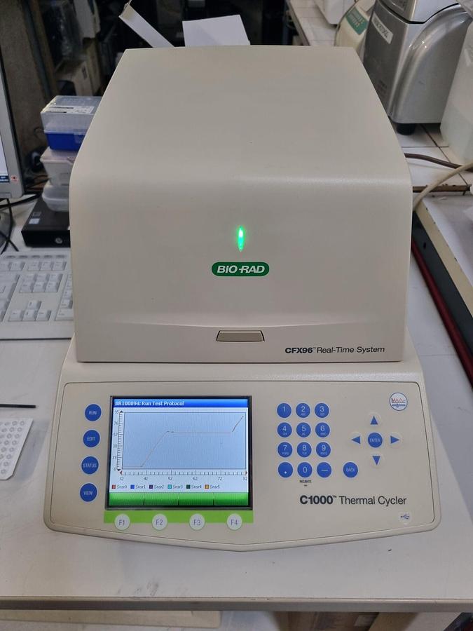 Usado BIO-RAD Termociclador CFX96 instrumento de PCR