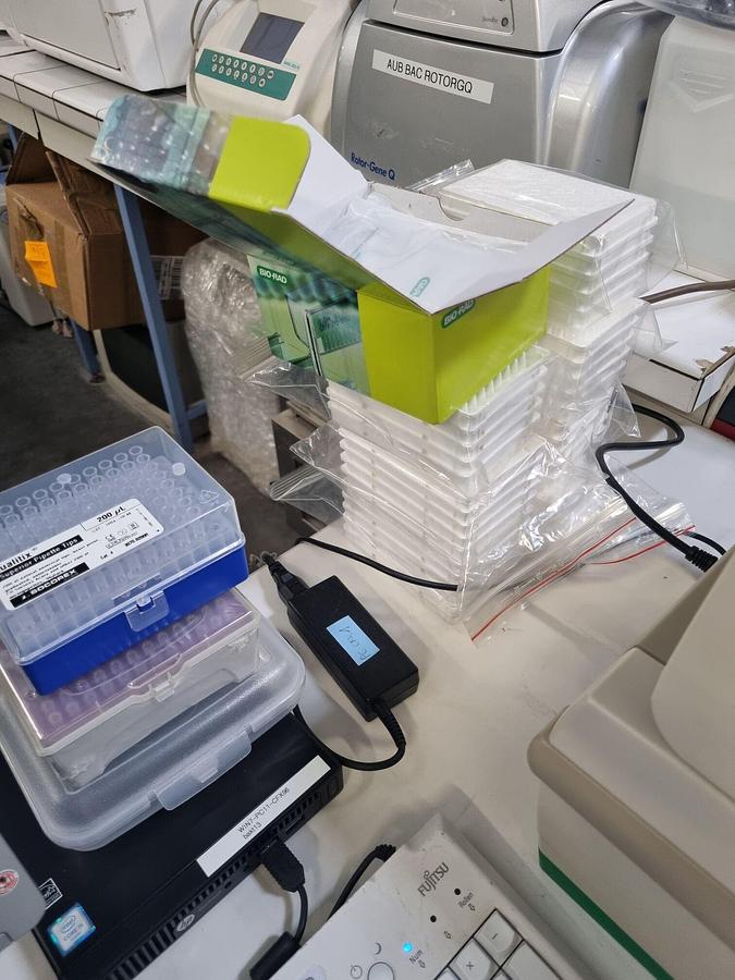Usado BIO-RAD Termociclador CFX96 instrumento de PCR