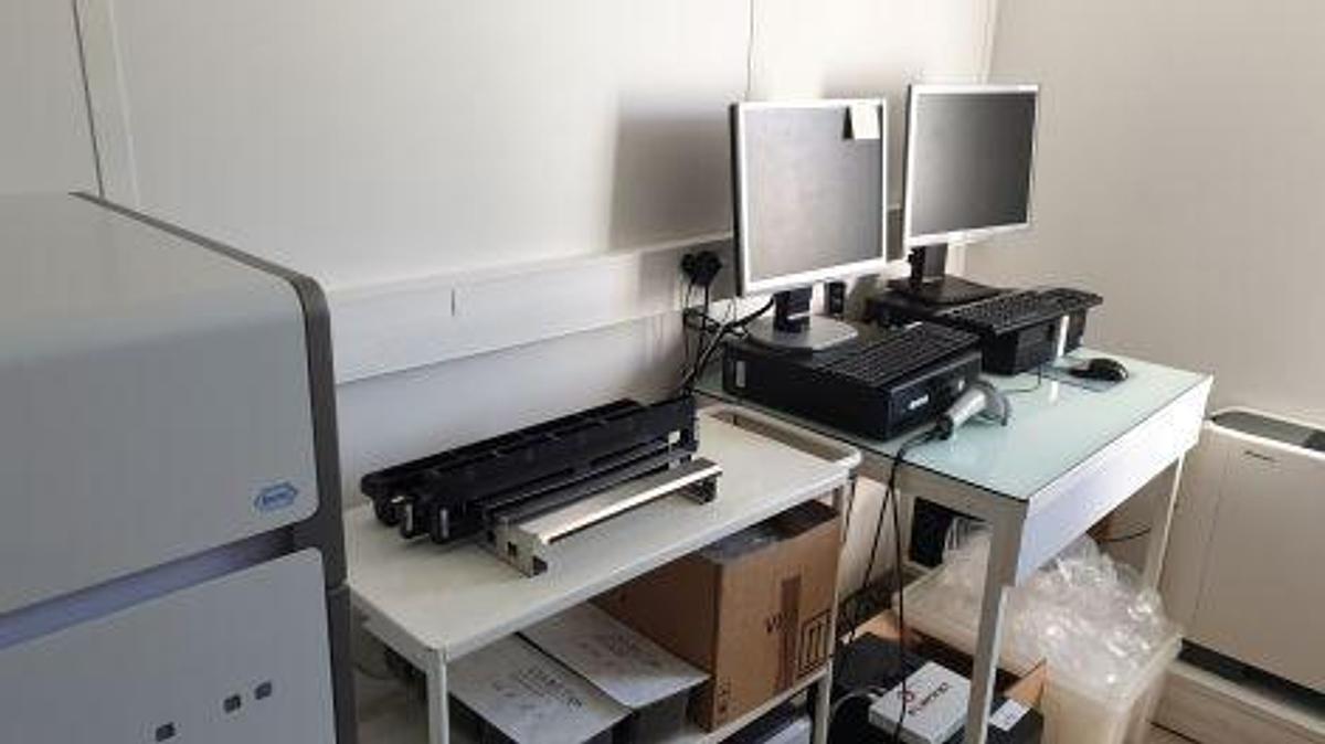 Usado ROCHE Cobas 4800 con x480 + z480 Prueba molecular CT/NG/HPV PCR
