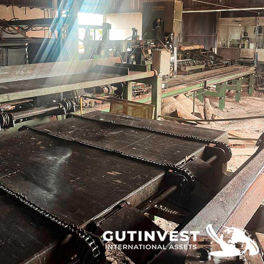Usado Aserradero para fabricación tableros pallets madera