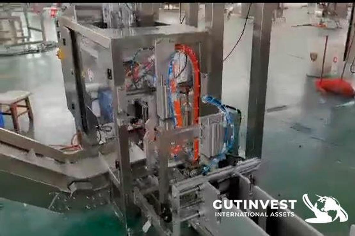 Used 1 - Bag Filling And Sealing Machine