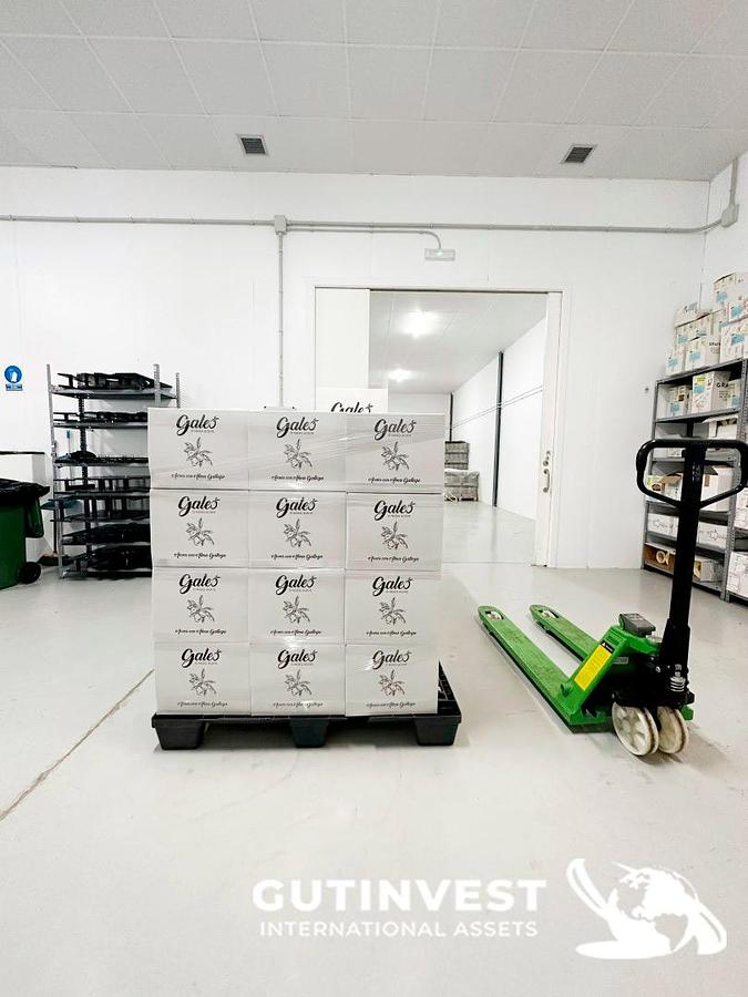 Used 1 - Complete lot of machinery for olive oil packaging