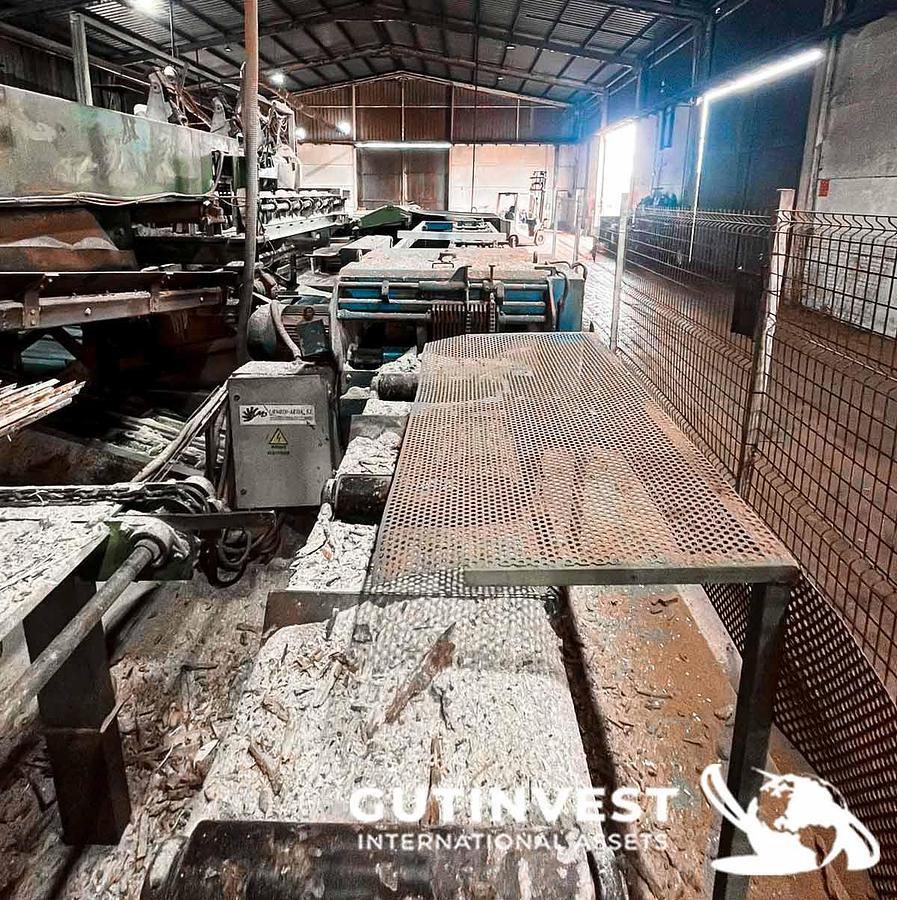 Usado Aserradero para fabricación tableros pallets madera