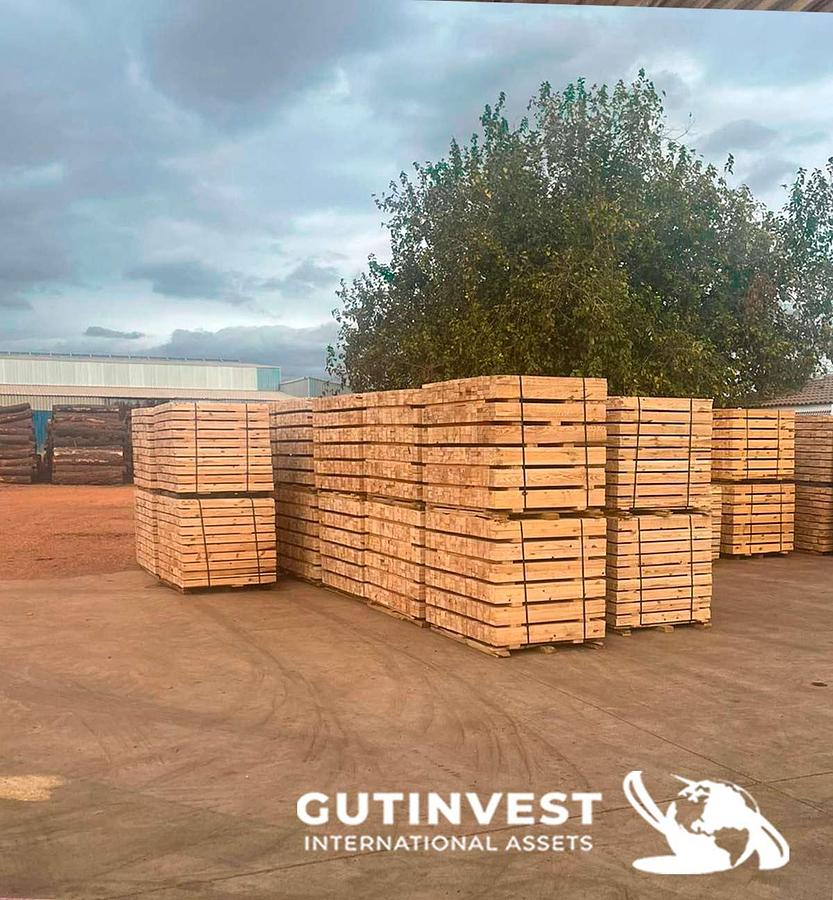 Usado Aserradero para fabricación tableros pallets madera