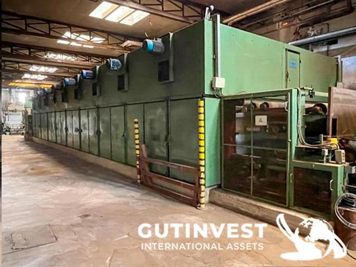 Used Veneer drying and cutting line