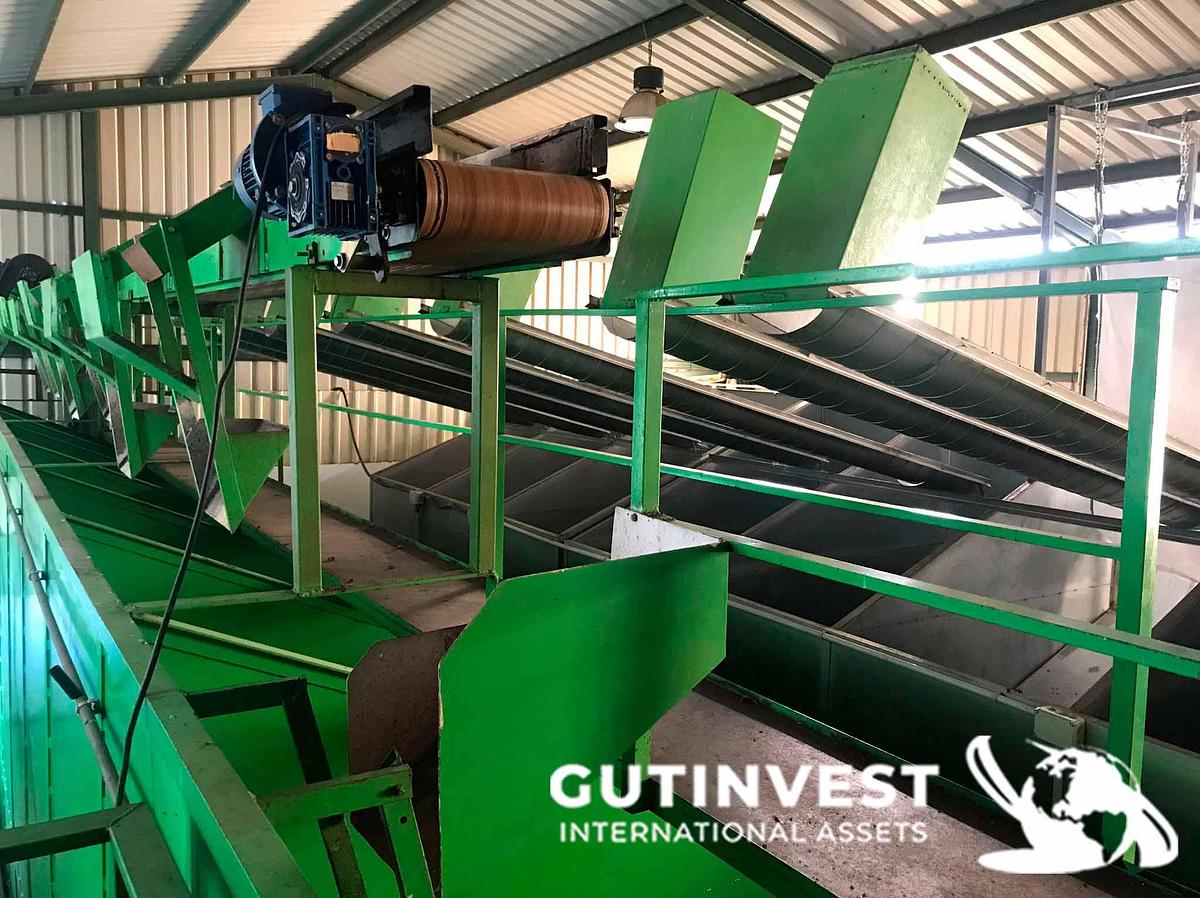 Usado 1 - Linea procesado de nueces -1.200 a 2.000Kg/Hora