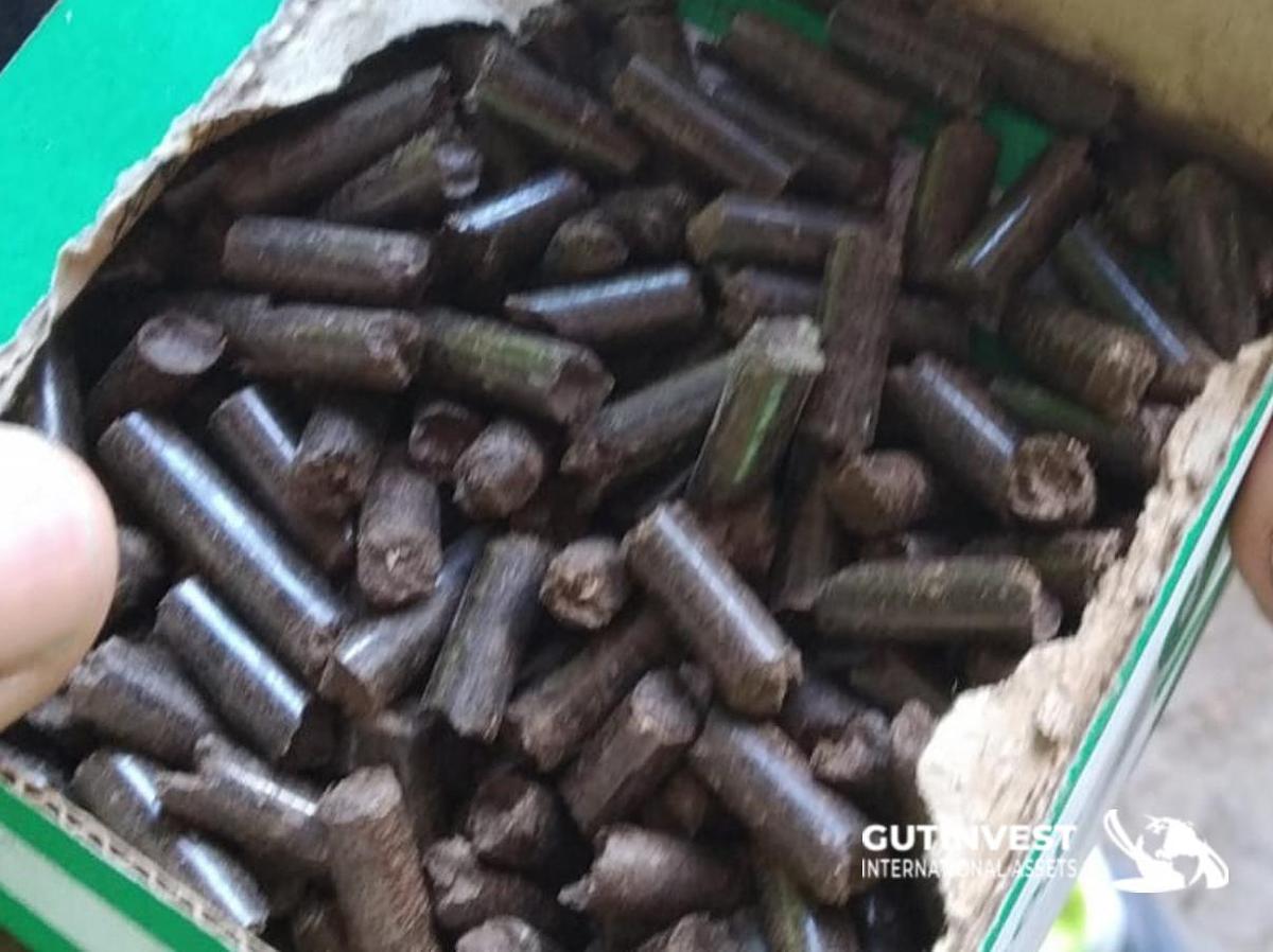 Usado 2 - Prensa granuladora de pellets