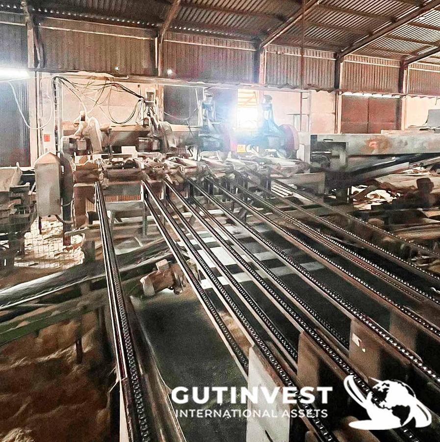 Usado Aserradero para fabricación tableros pallets madera