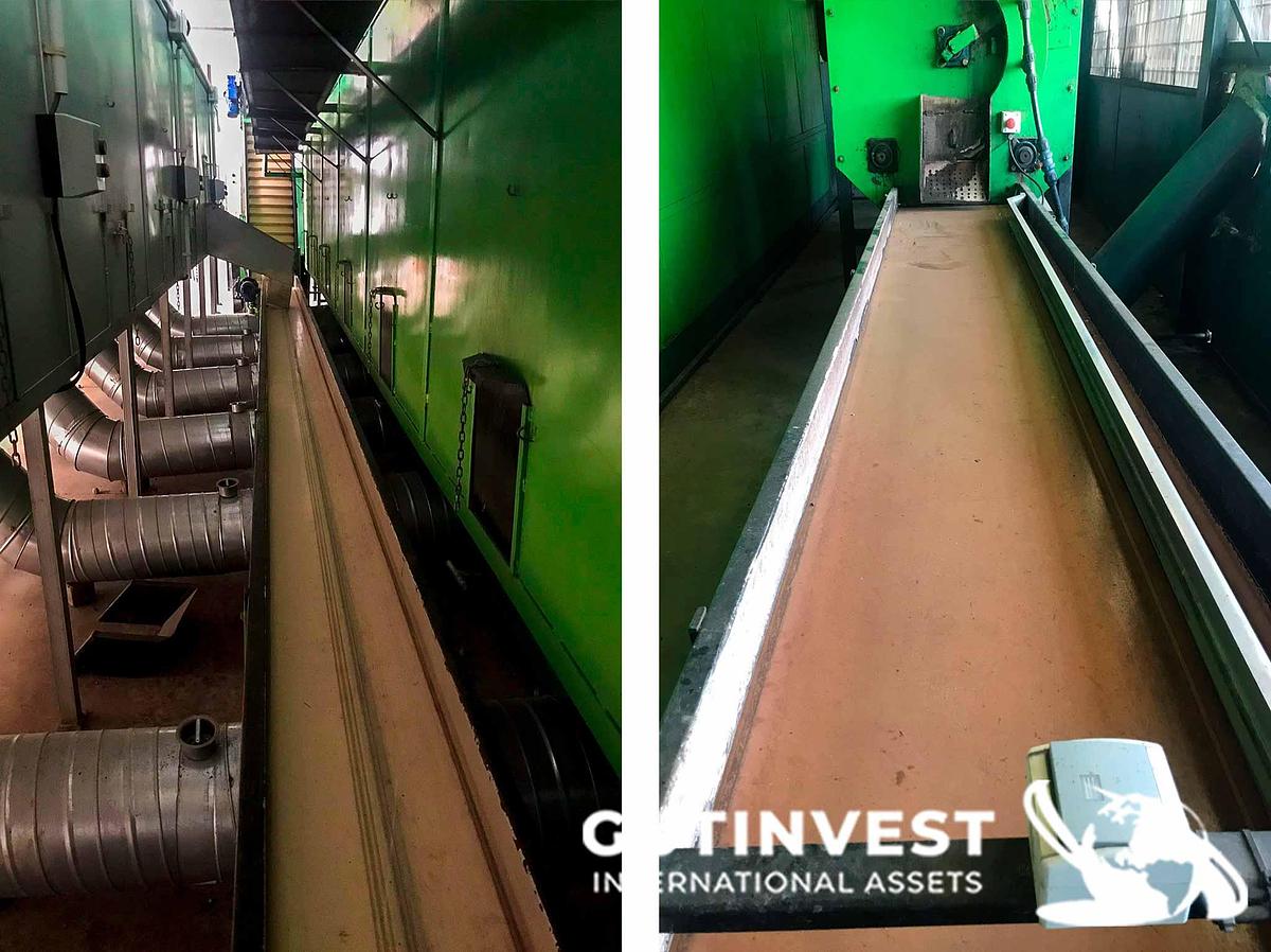 Usado 1 - Linea procesado de nueces -1.200 a 2.000Kg/Hora