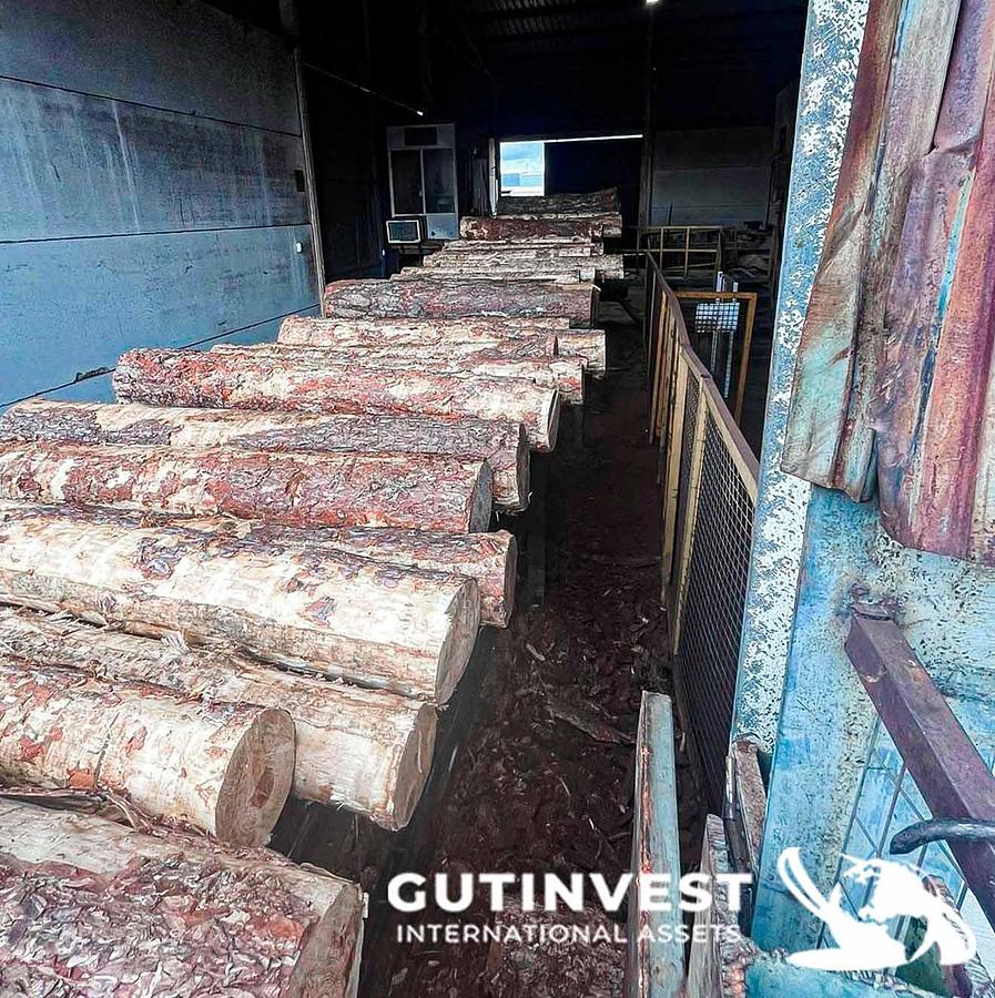 Usado Aserradero para fabricación tableros pallets madera