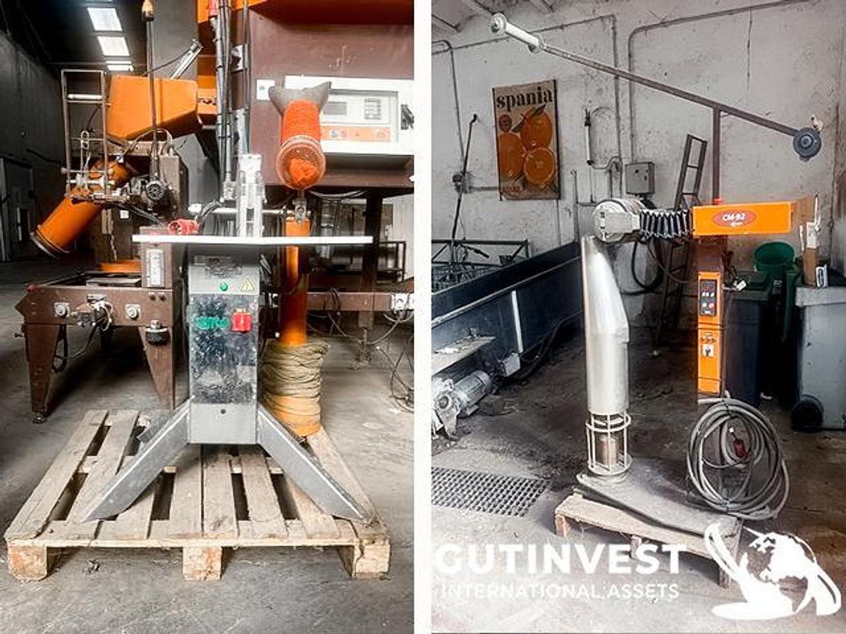 Used 1 - Packaging line for fruit and vegetable products