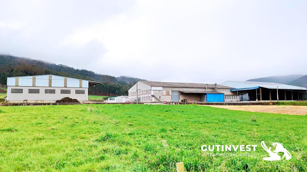 Usado 1 - Fábrica completa - aserradero de madera - 21.000m2