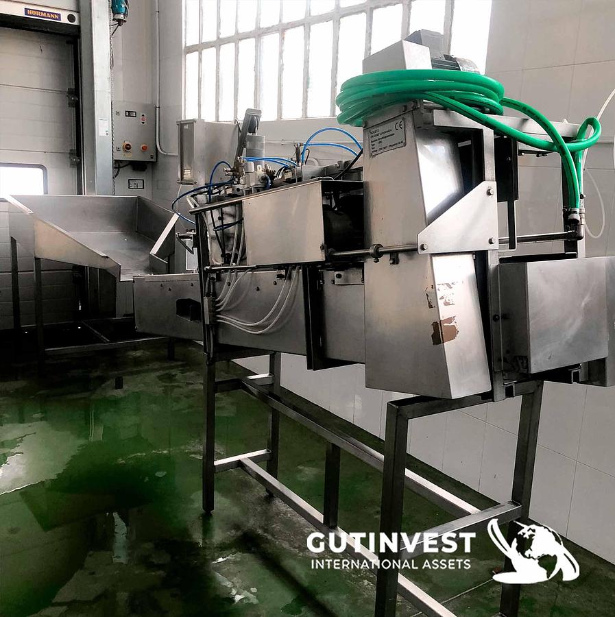 Used 1 - Trout Eviscerator machine