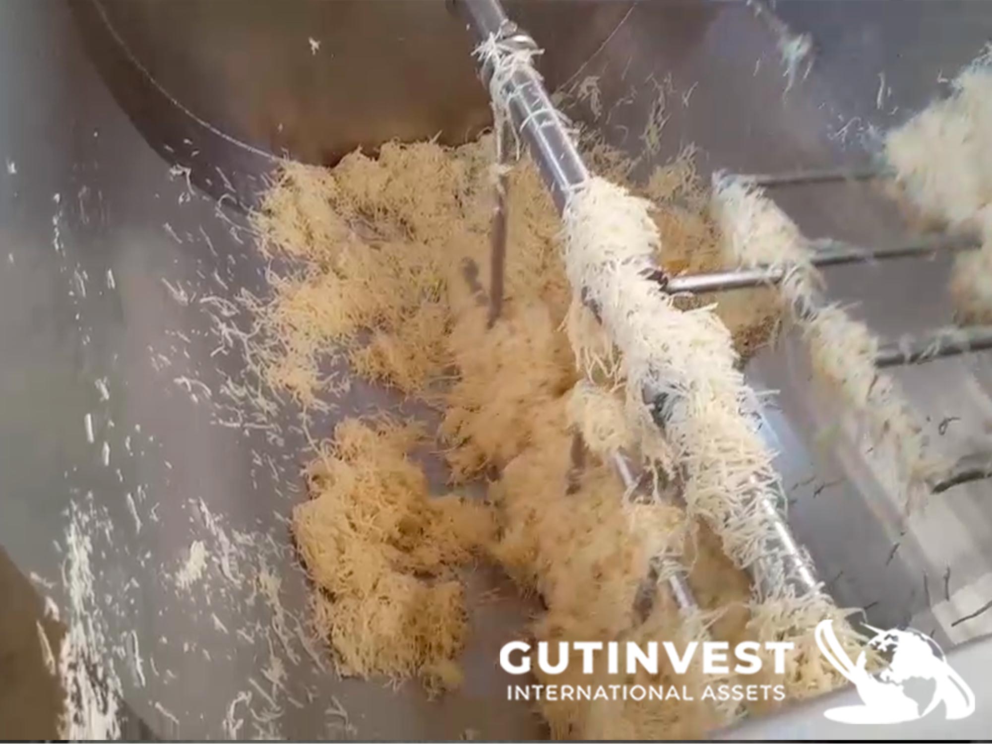 Usado (x2) Líneas de llenado de queso rallado 