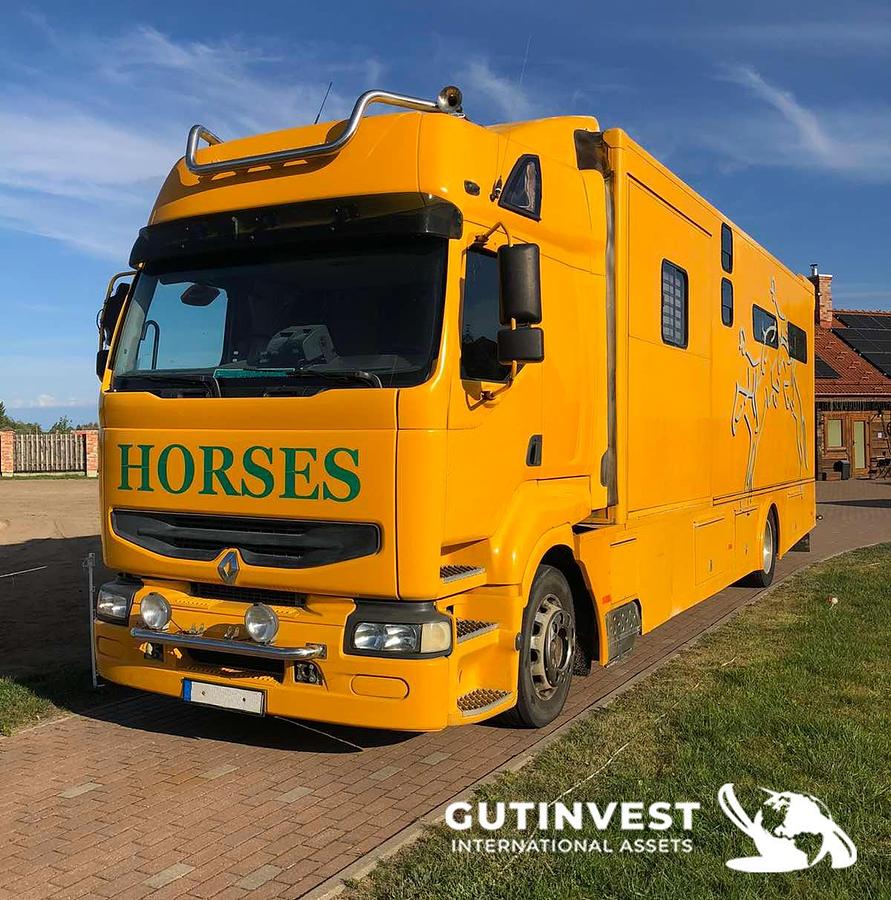 Usado 1 - Camión para transporte de caballos