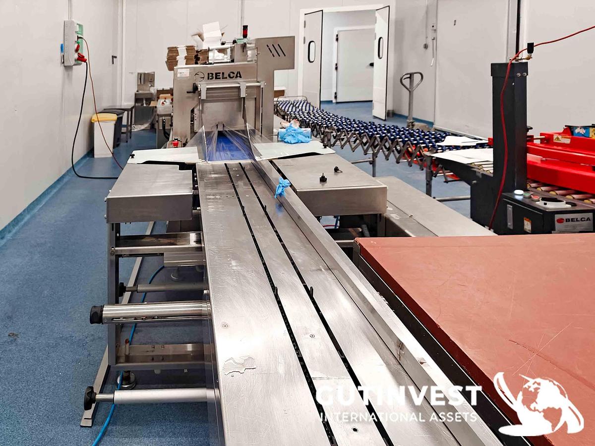 Used 1 - Flow pack packaging line
