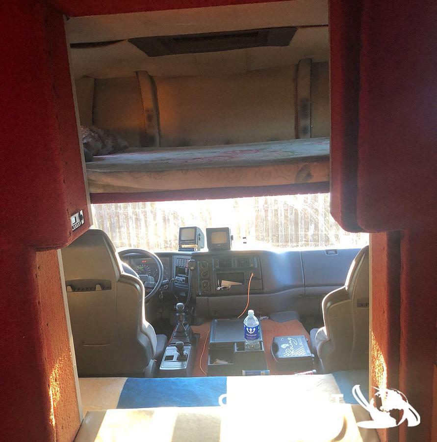 Used 1 - Horsebox truck
