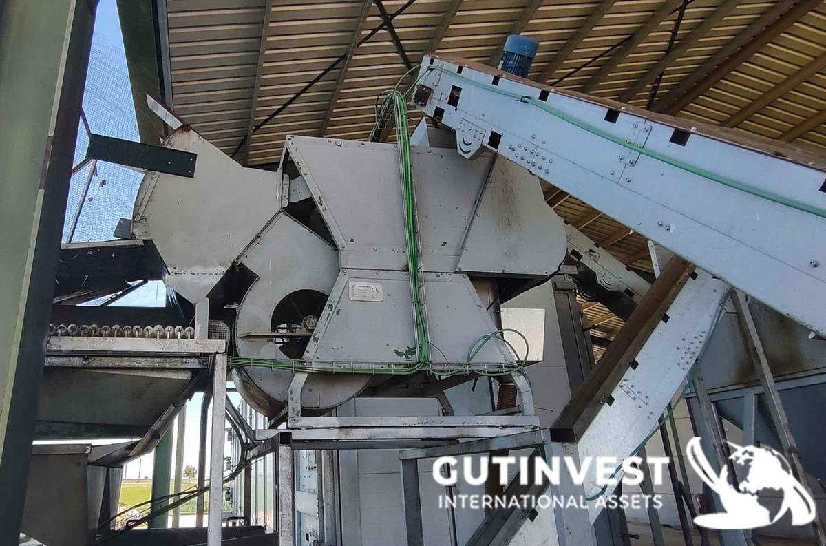 Usado Línea de procesado de pistacho - 1500Kg/hora
