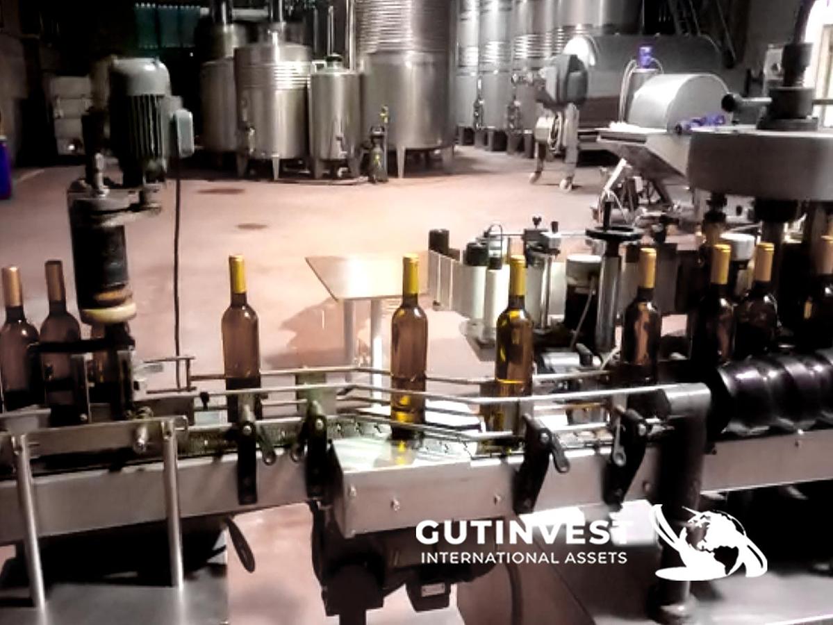 Usado 1 - Línea completa de embotellado vino de 1800 bot./hora