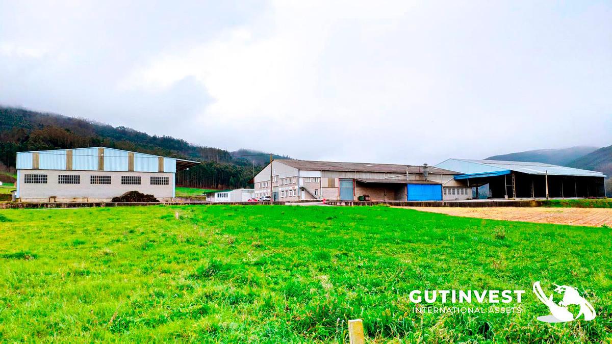 Usado 1 - Fábrica completa - aserradero de madera - 21.000m2