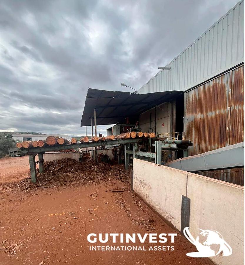 Used Sawmill for manufacturing wooden pallet panels