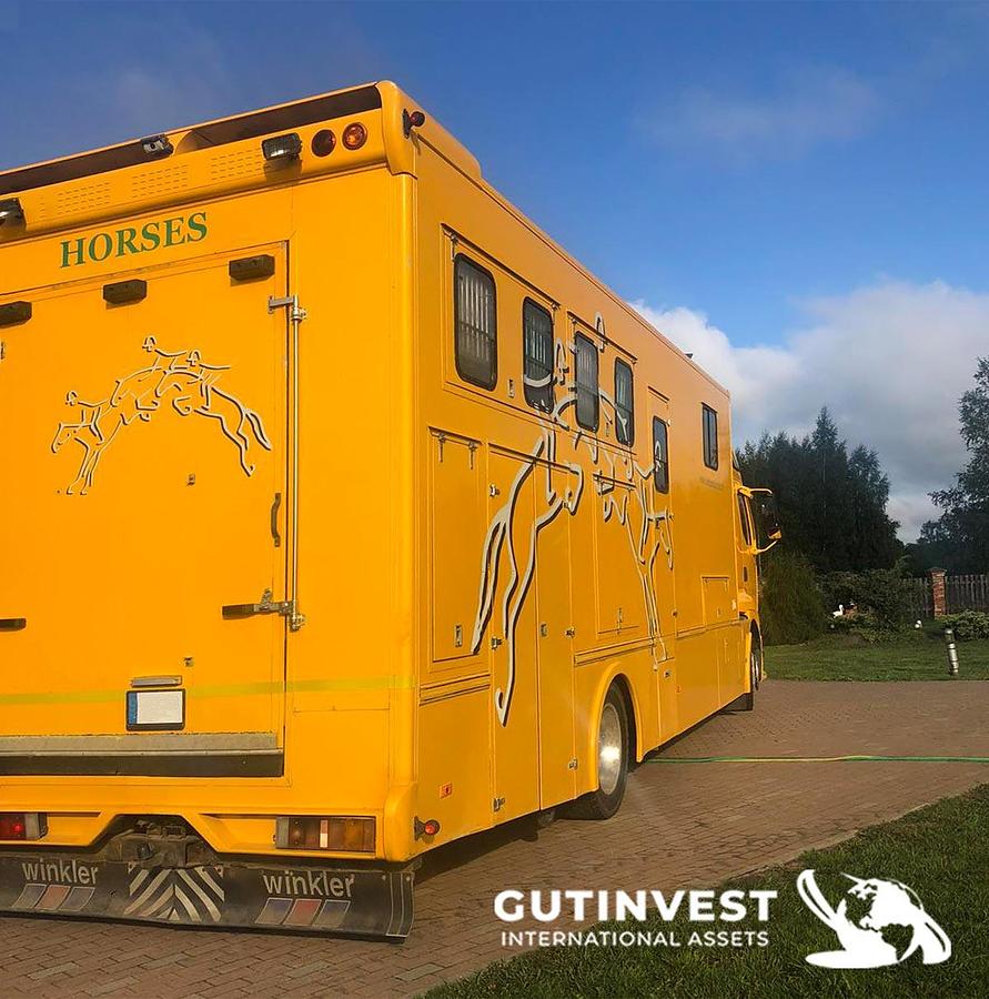 Used 1 - Horsebox truck