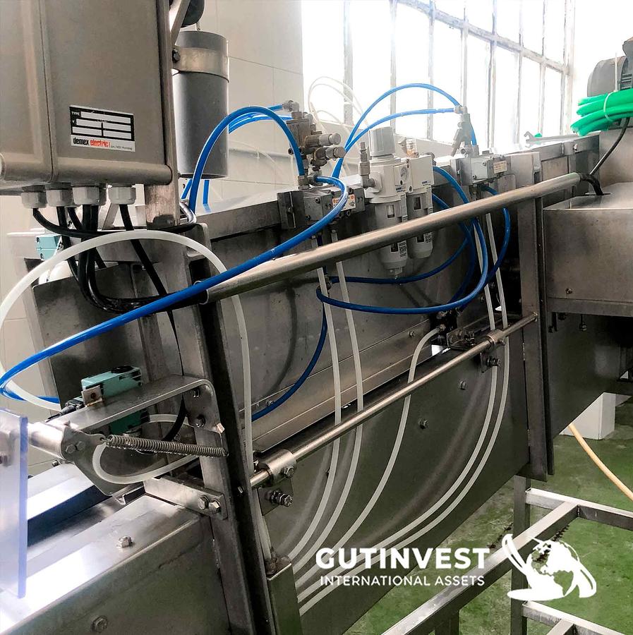 Used 1 - Trout Eviscerator machine