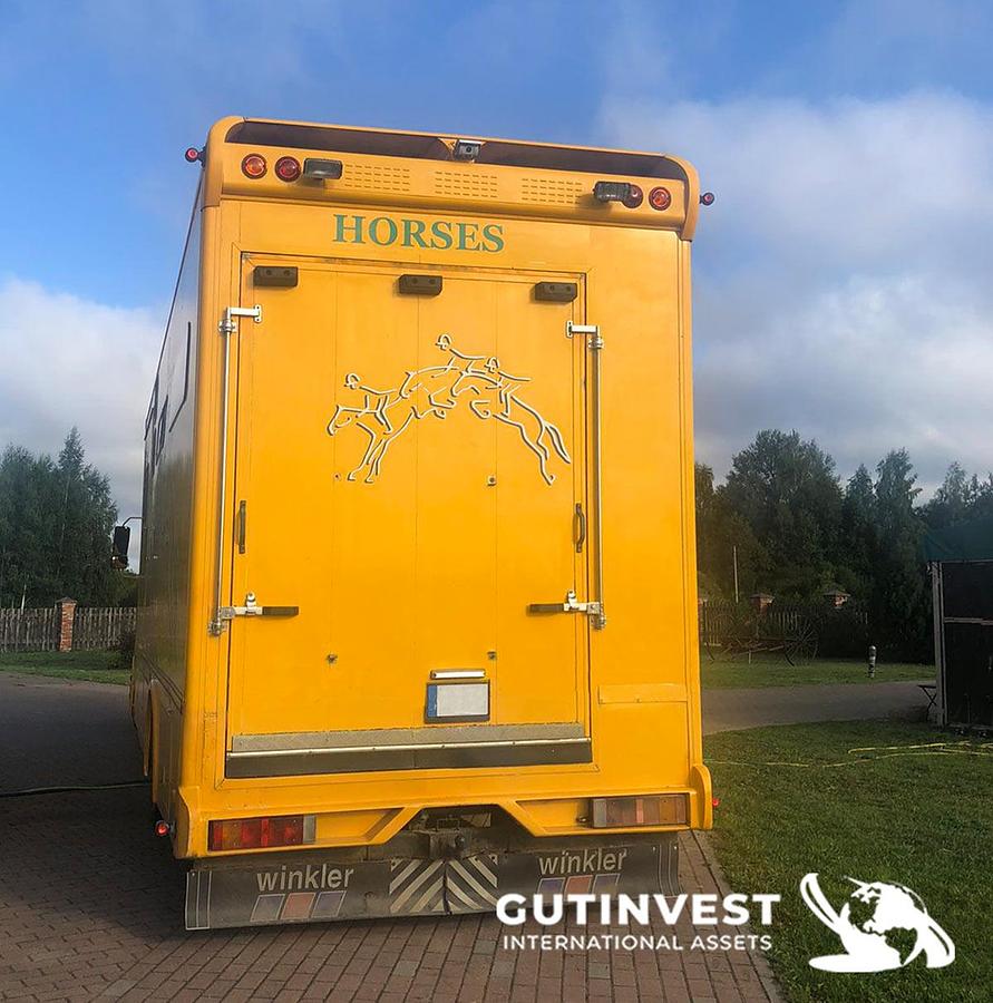 Used 1 - Horsebox truck