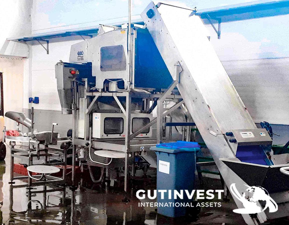 Used 1 - Mollusc packaging line