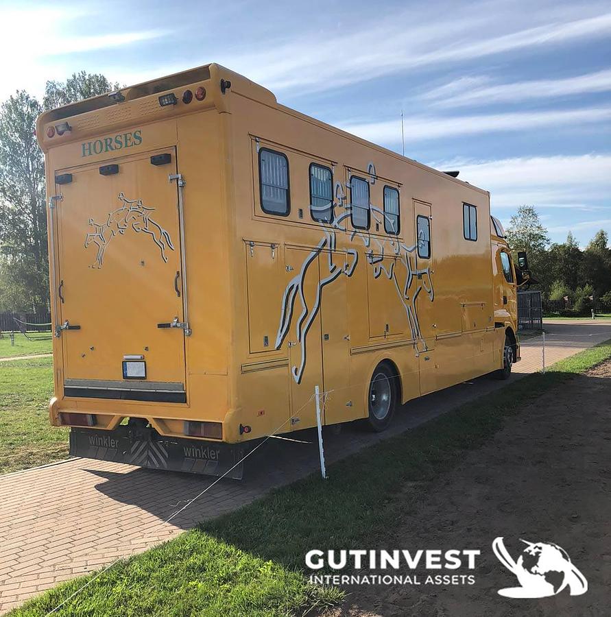 Used 1 - Horsebox truck
