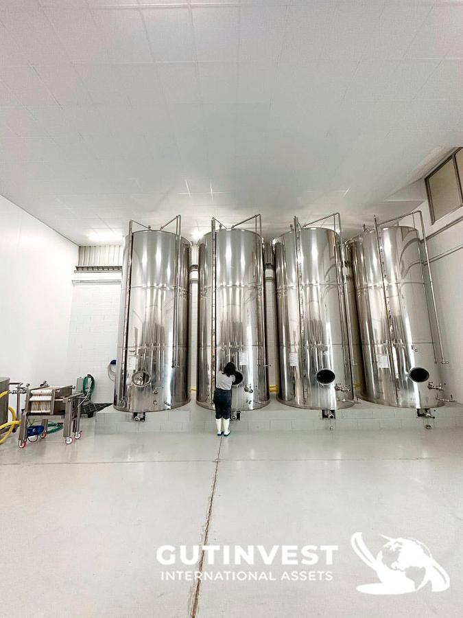 Used 1 - Complete lot of machinery for olive oil packaging