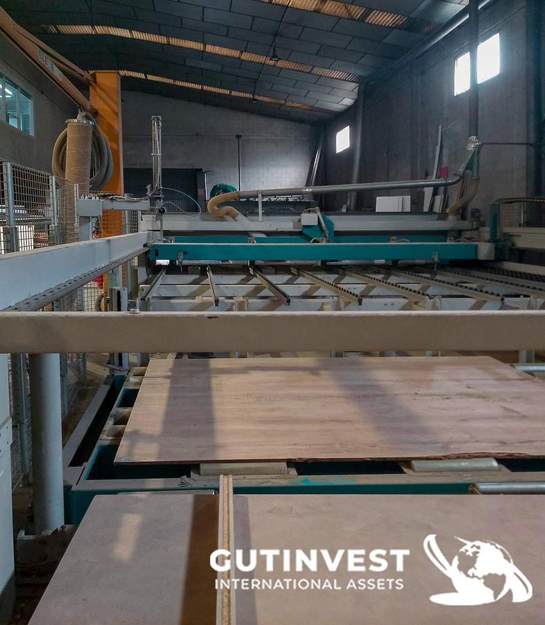 Used 1 - Wood Panel Sawing machine