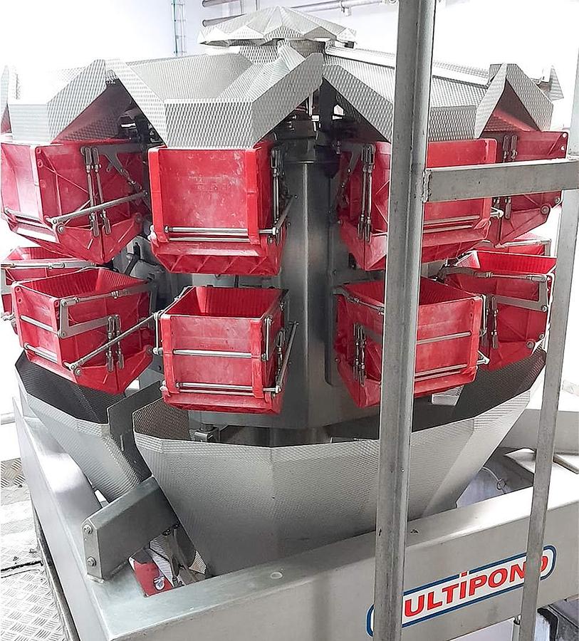 Usado Envasadora Vertical y Pesadora multicabezal -10 cabezales