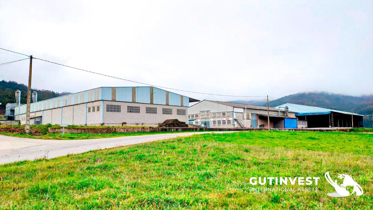 Usado 1 - Fábrica completa - aserradero de madera - 21.000m2
