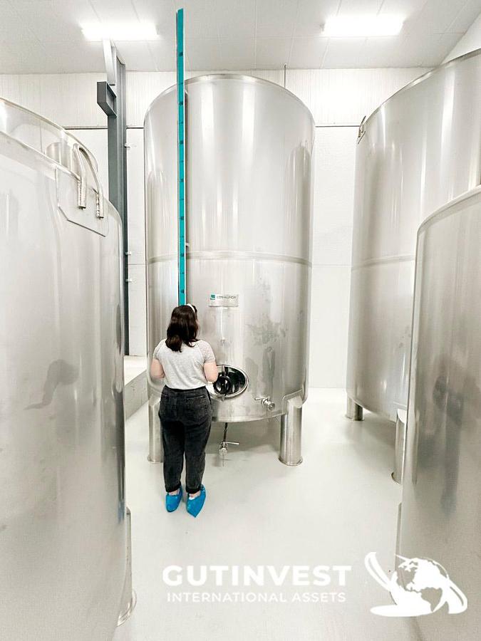 Used 1 - Complete lot of machinery for olive oil packaging