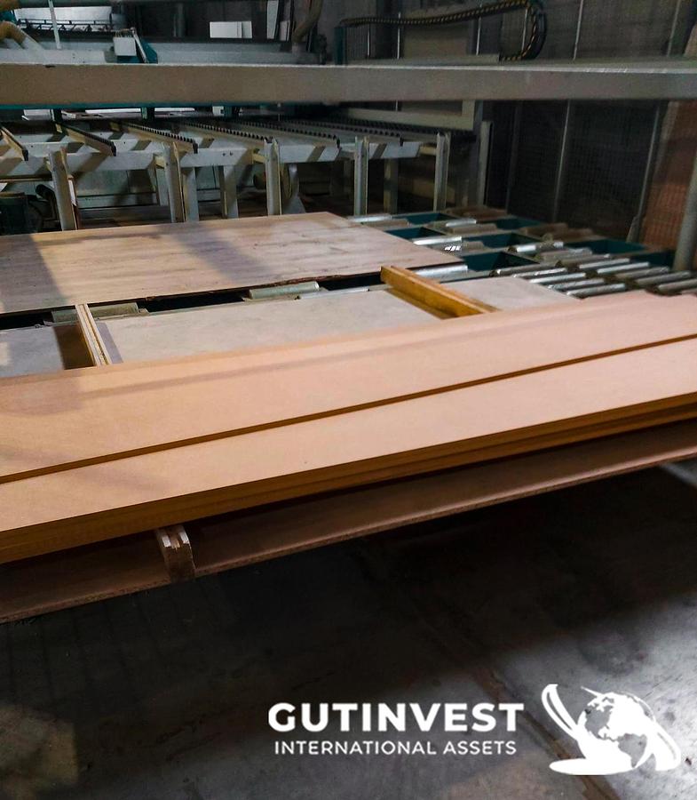 Used 1 - Wood Panel Sawing machine